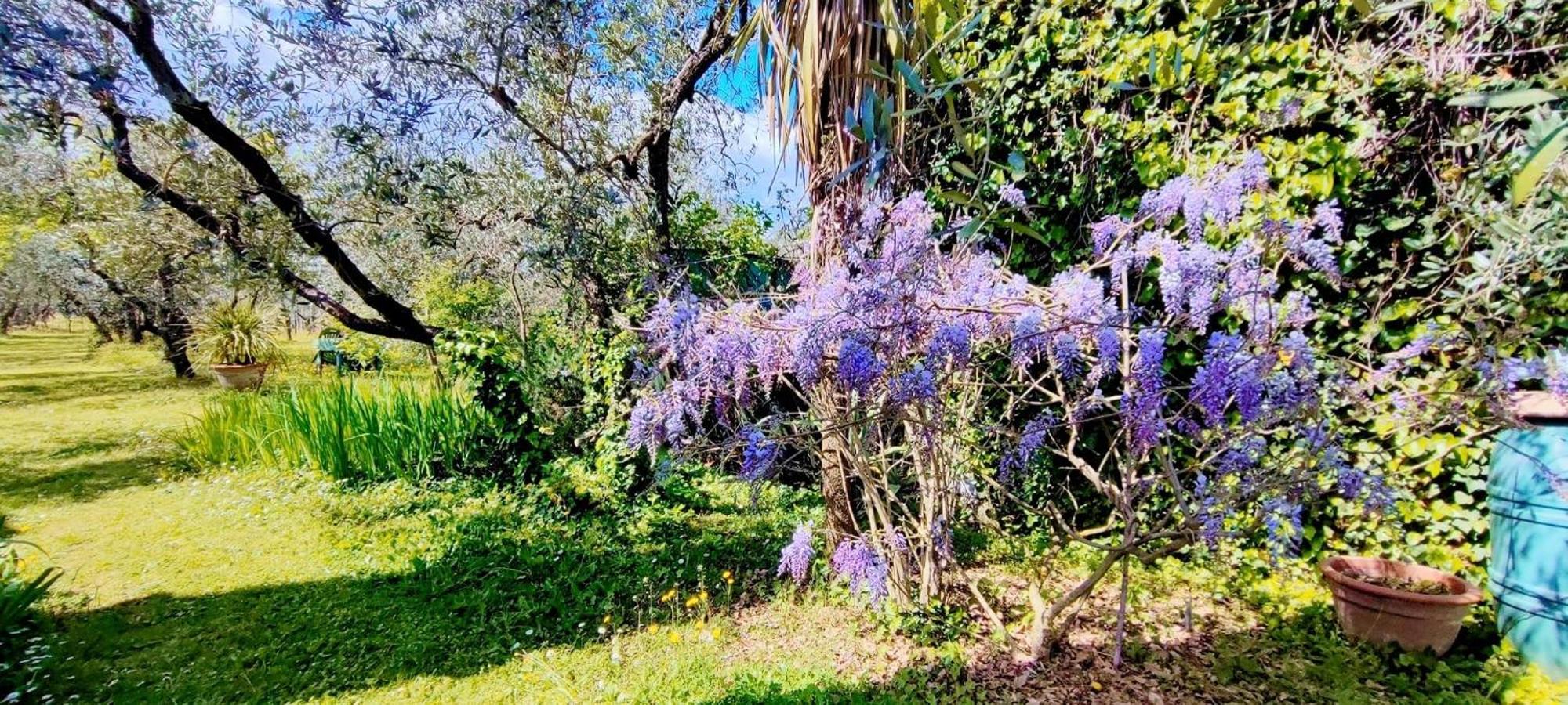 La Casa Dei Nonni Villa Larciano Exterior foto