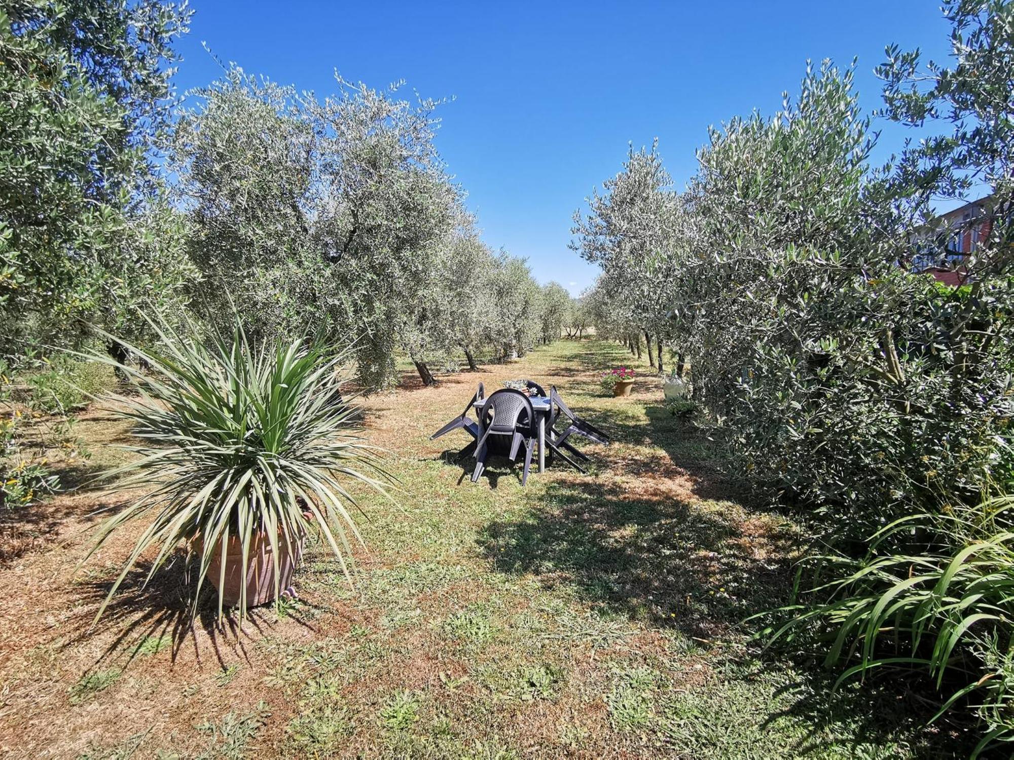 La Casa Dei Nonni Villa Larciano Exterior foto